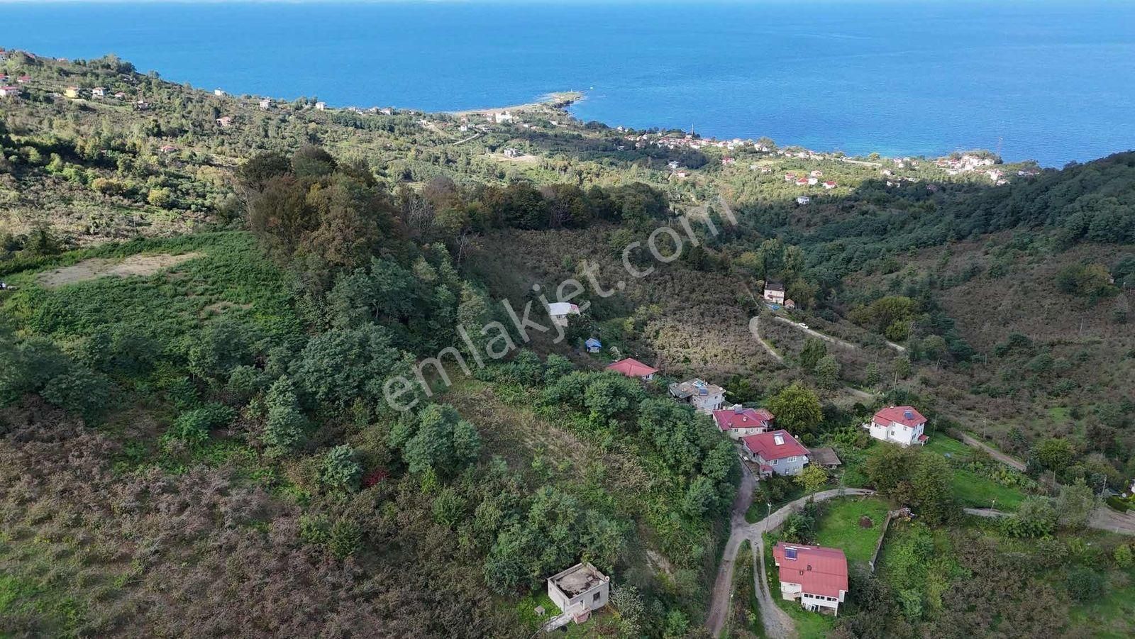 Çaytepe-hoynat Adası Manzaralı 2.022m2 Müstakil Tapu - Görsel 4