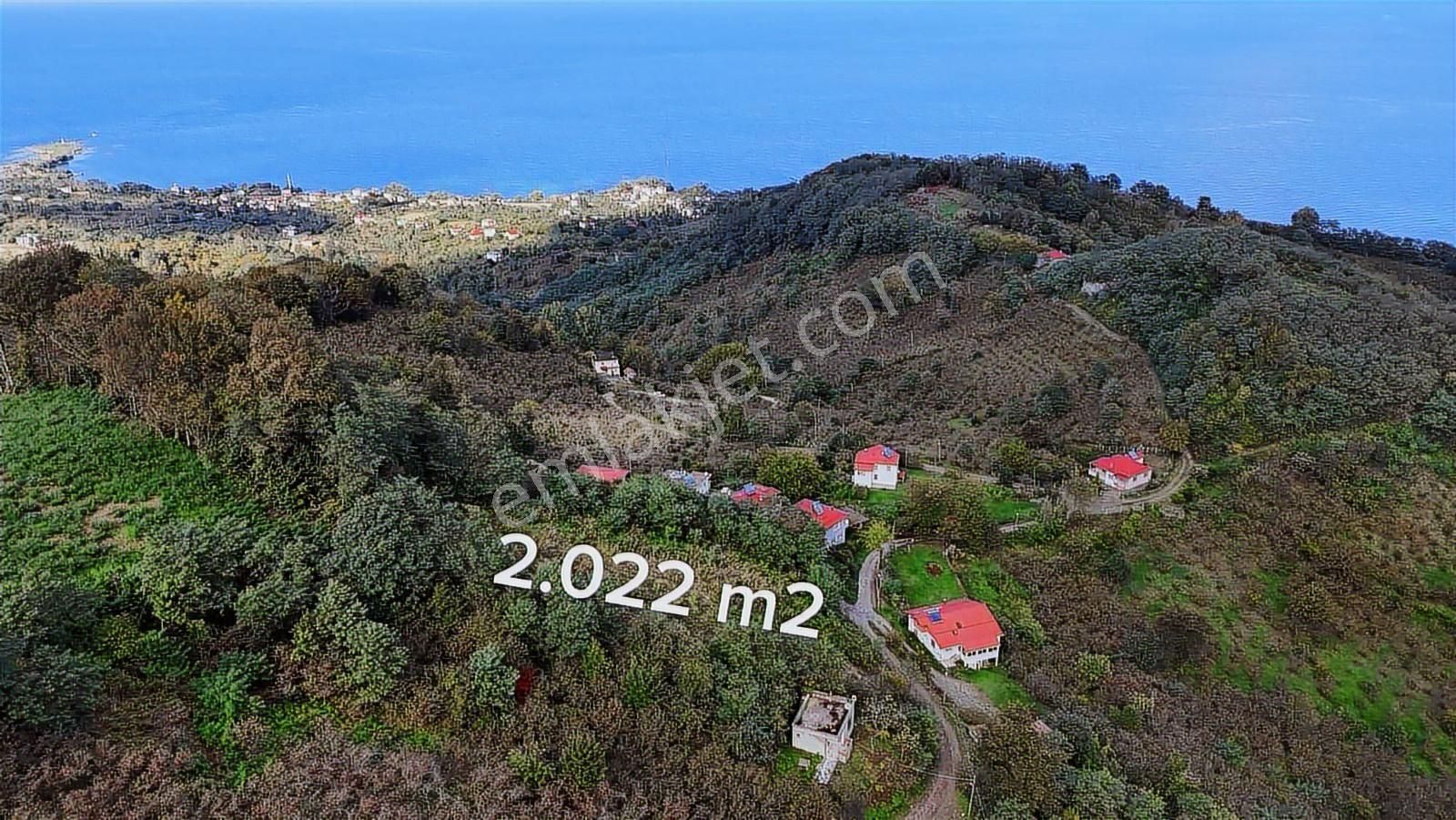 Çaytepe-hoynat Adası Manzaralı 2.022m2 Müstakil Tapu - Görsel 2