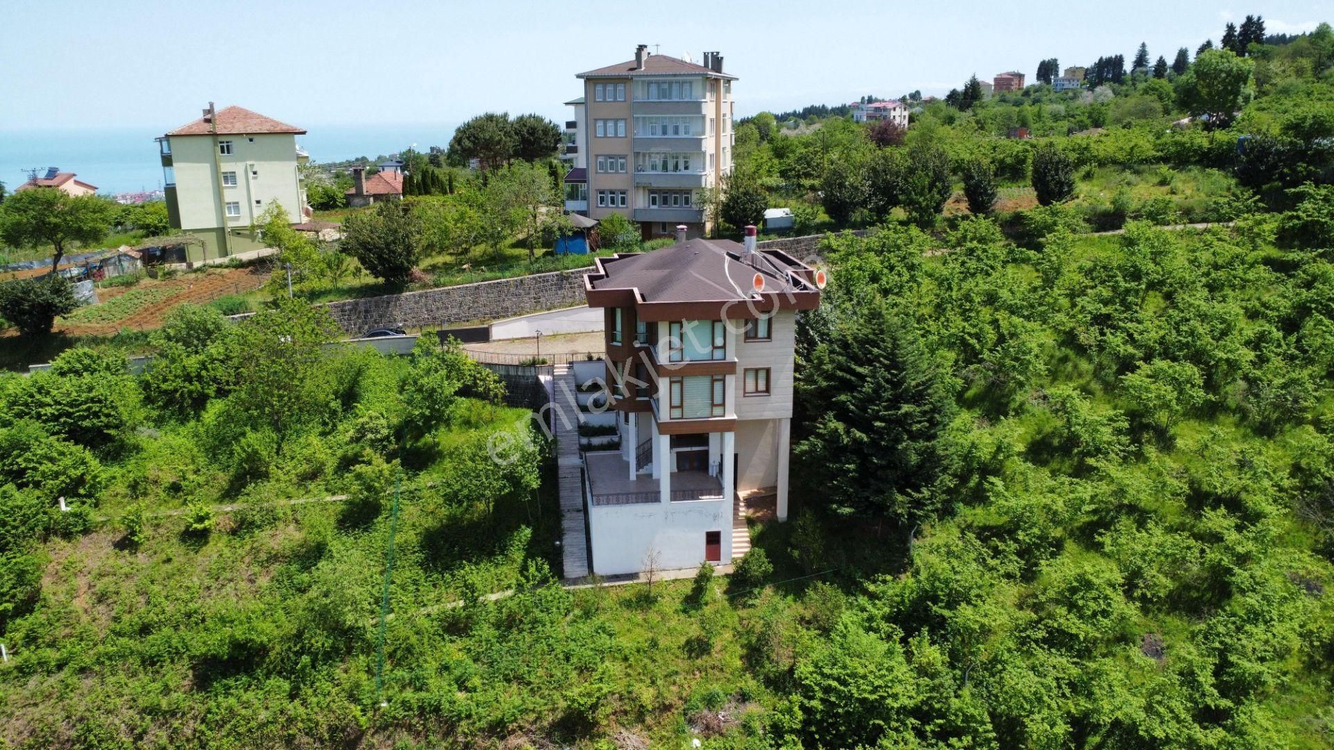 Trabzon'da Satılık Arazi - Görsel 11