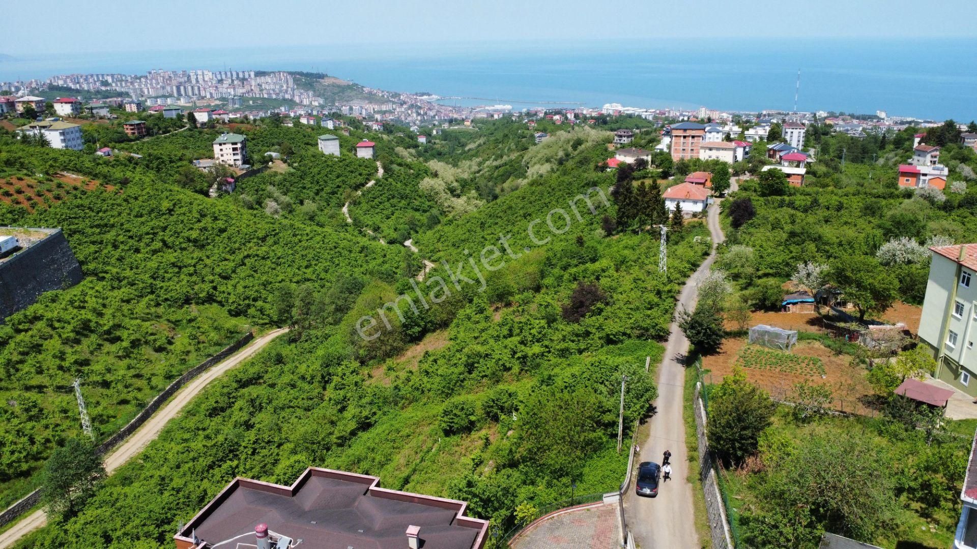 Trabzon'da Satılık Arazi - Görsel 20