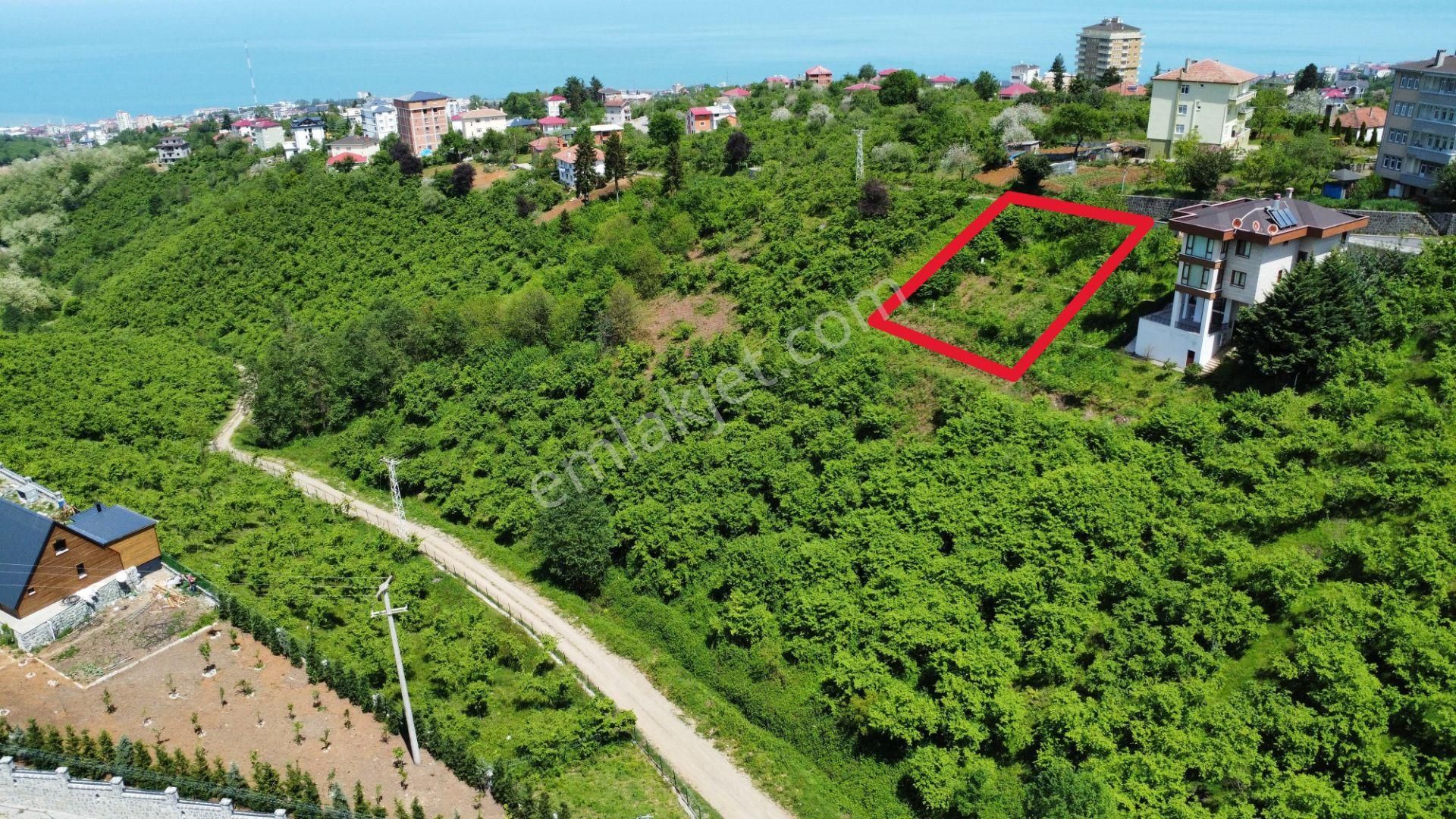 Trabzon'da Satılık Arazi - Görsel 15