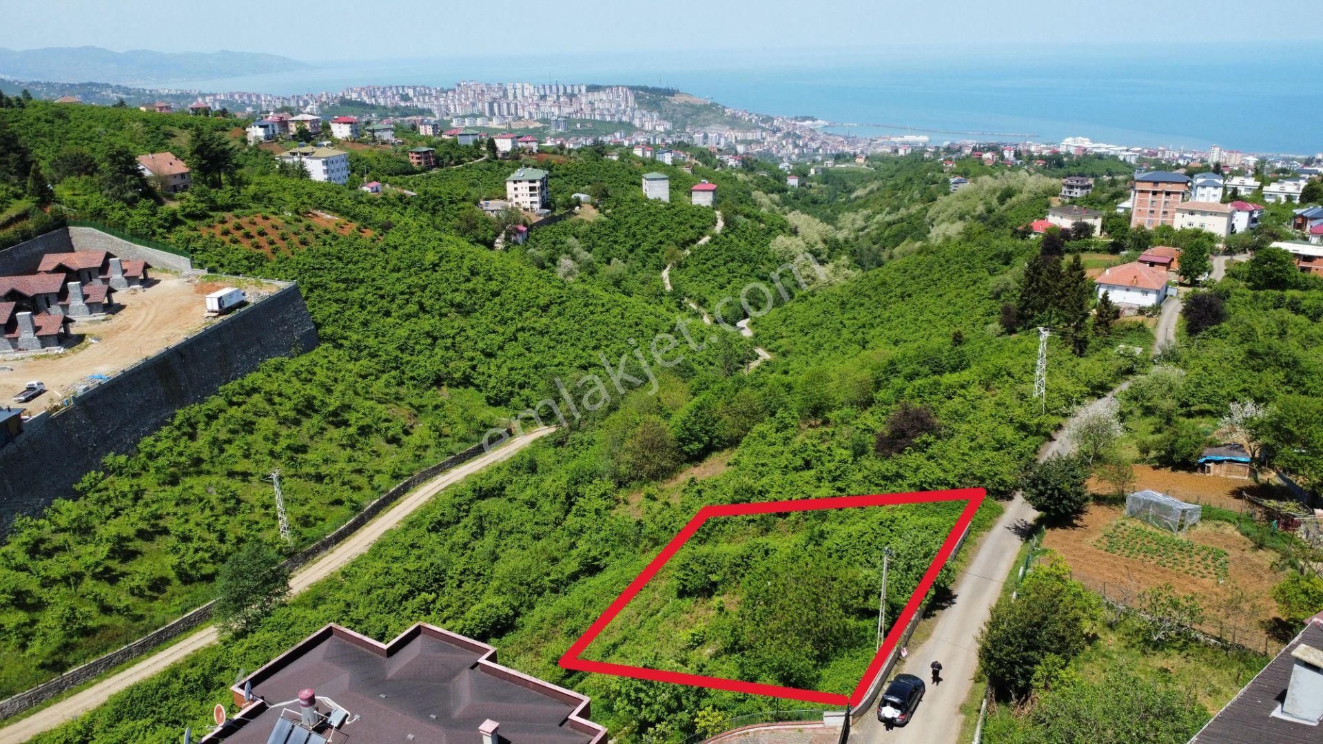 Trabzon'da Satılık Arazi - Görsel 19