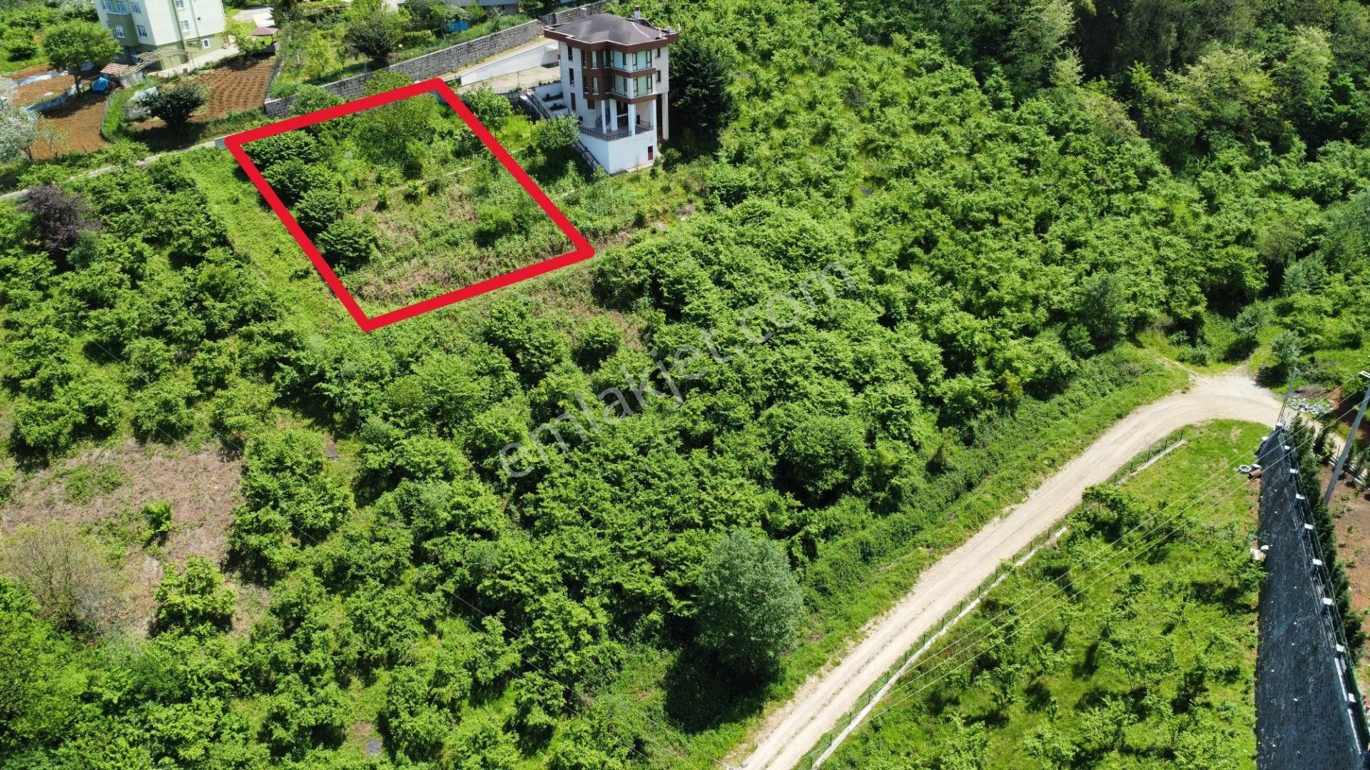 Trabzon'da Satılık Arazi - Görsel 7