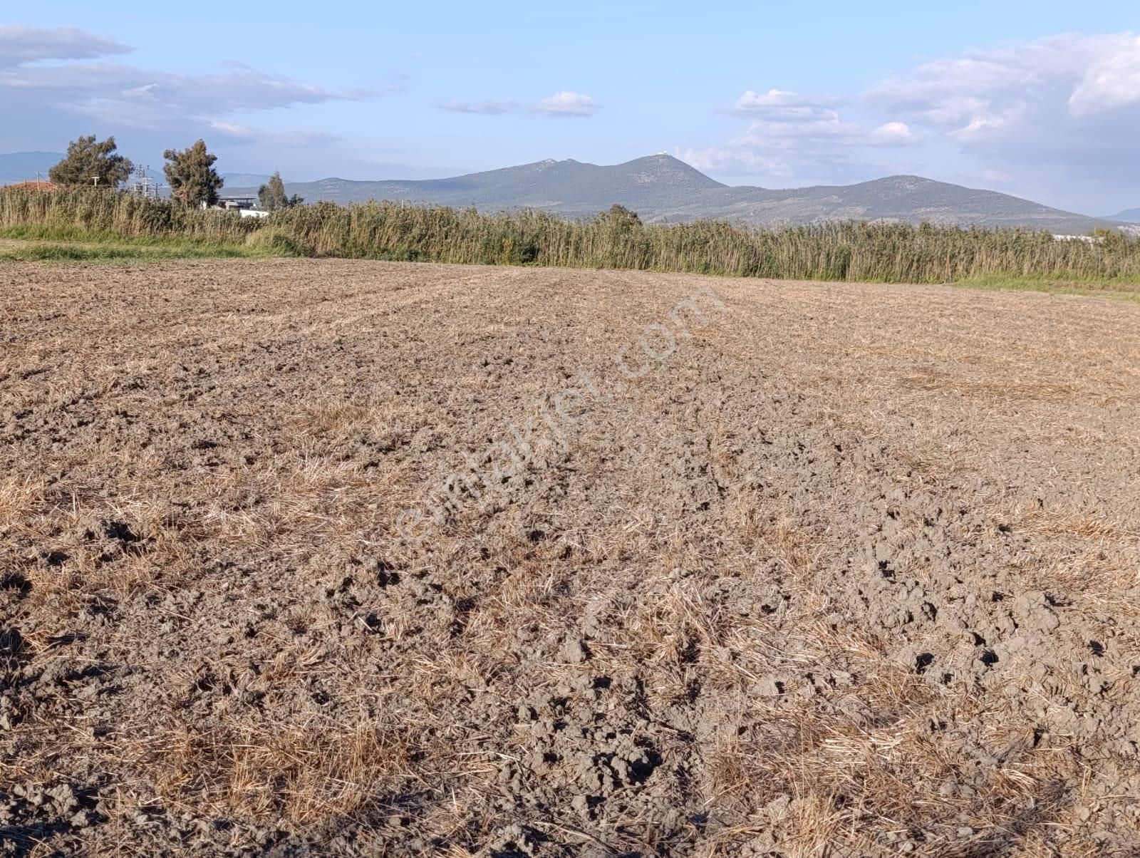 Yıldırım Mühendislik'ten Bodrum Havalimanına Yakın Konumda"9.366 M2" Tarla - Görsel 12