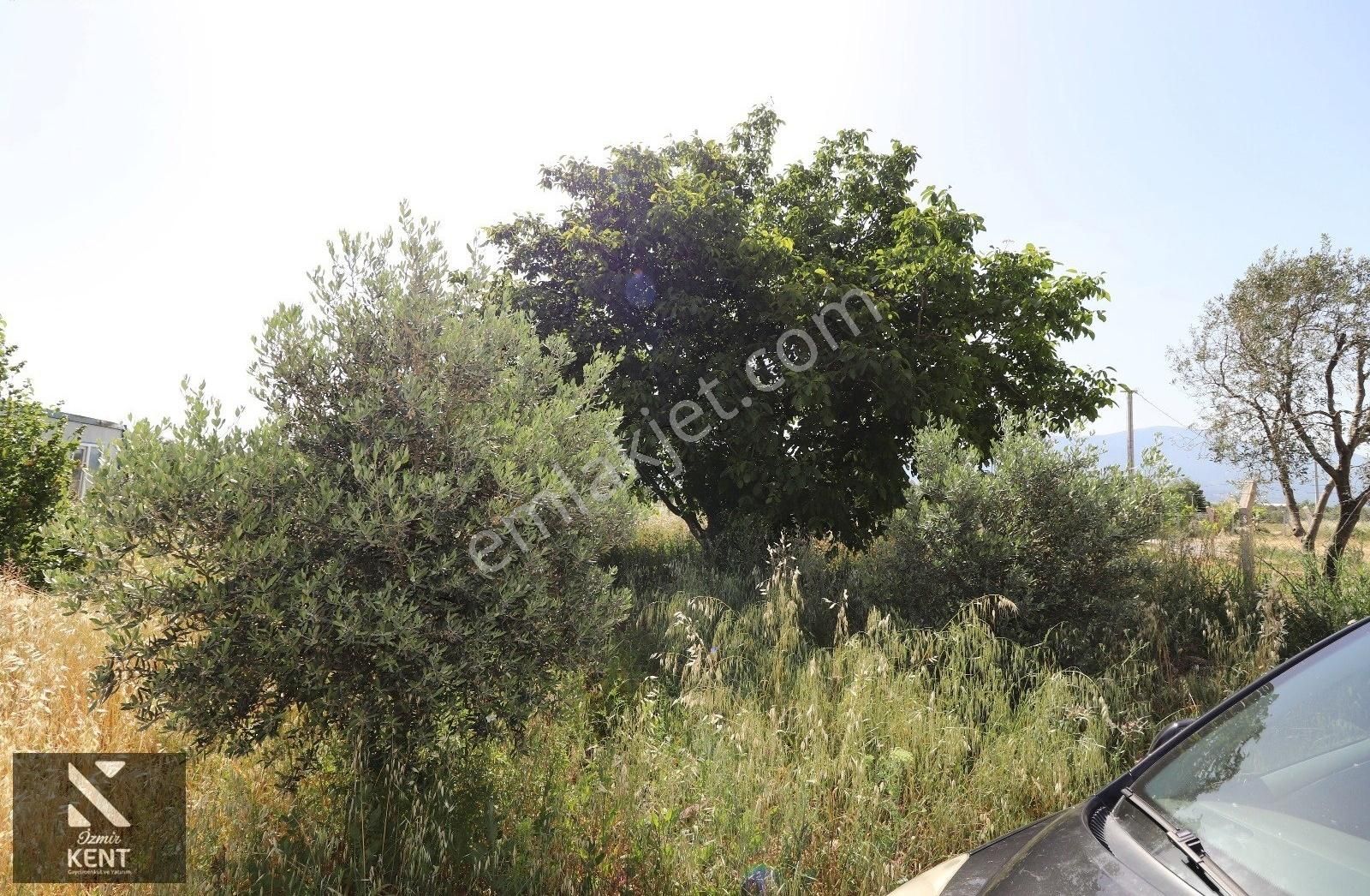 Kemalpaşa Aşağı Kızılca Ova Da Satılık Tek Tapu 1031 M2 Tek Tapu - Görsel 6