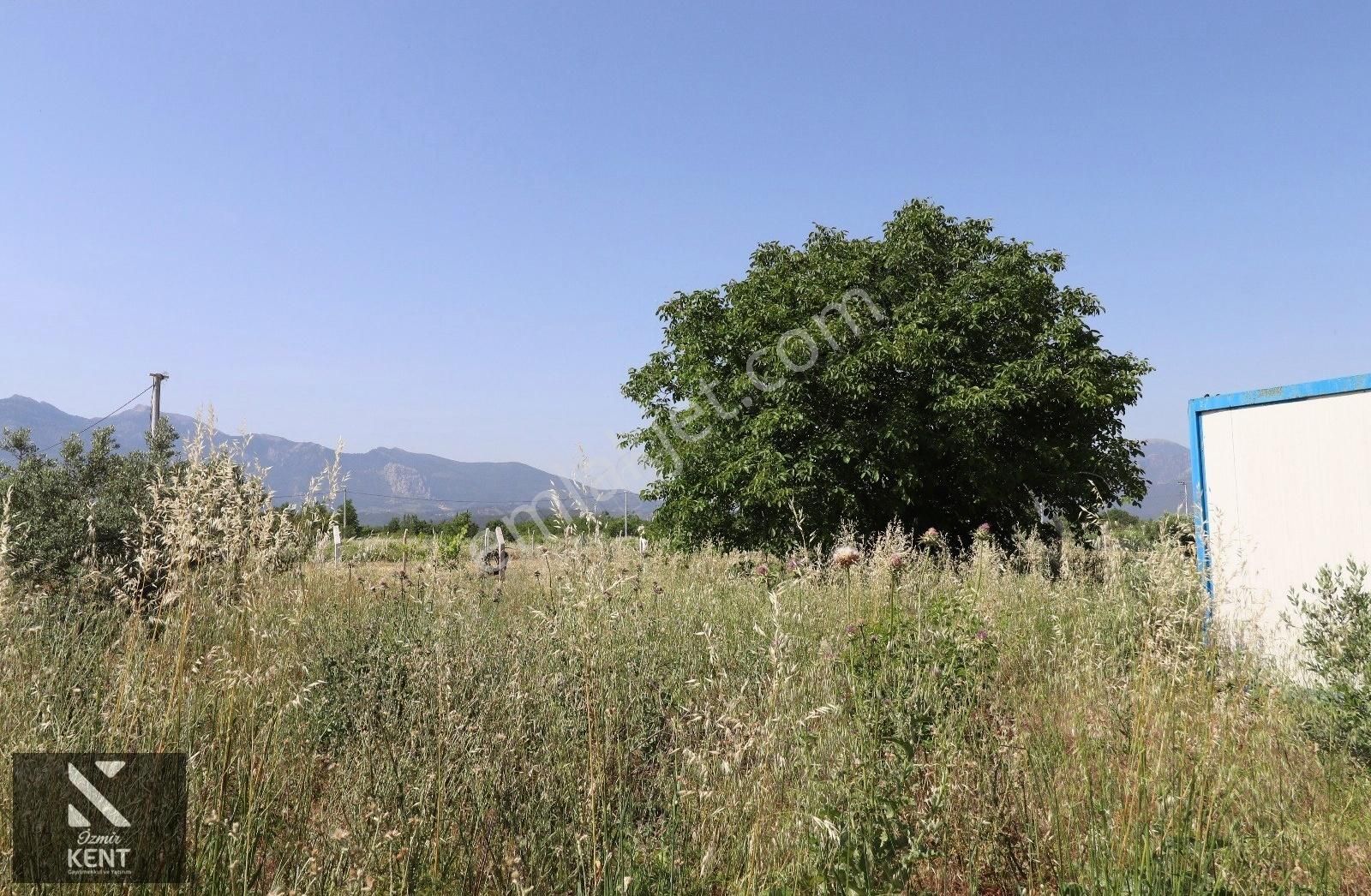 Kemalpaşa Aşağı Kızılca Ova Da Satılık Tek Tapu 1031 M2 Tek Tapu - Görsel 11
