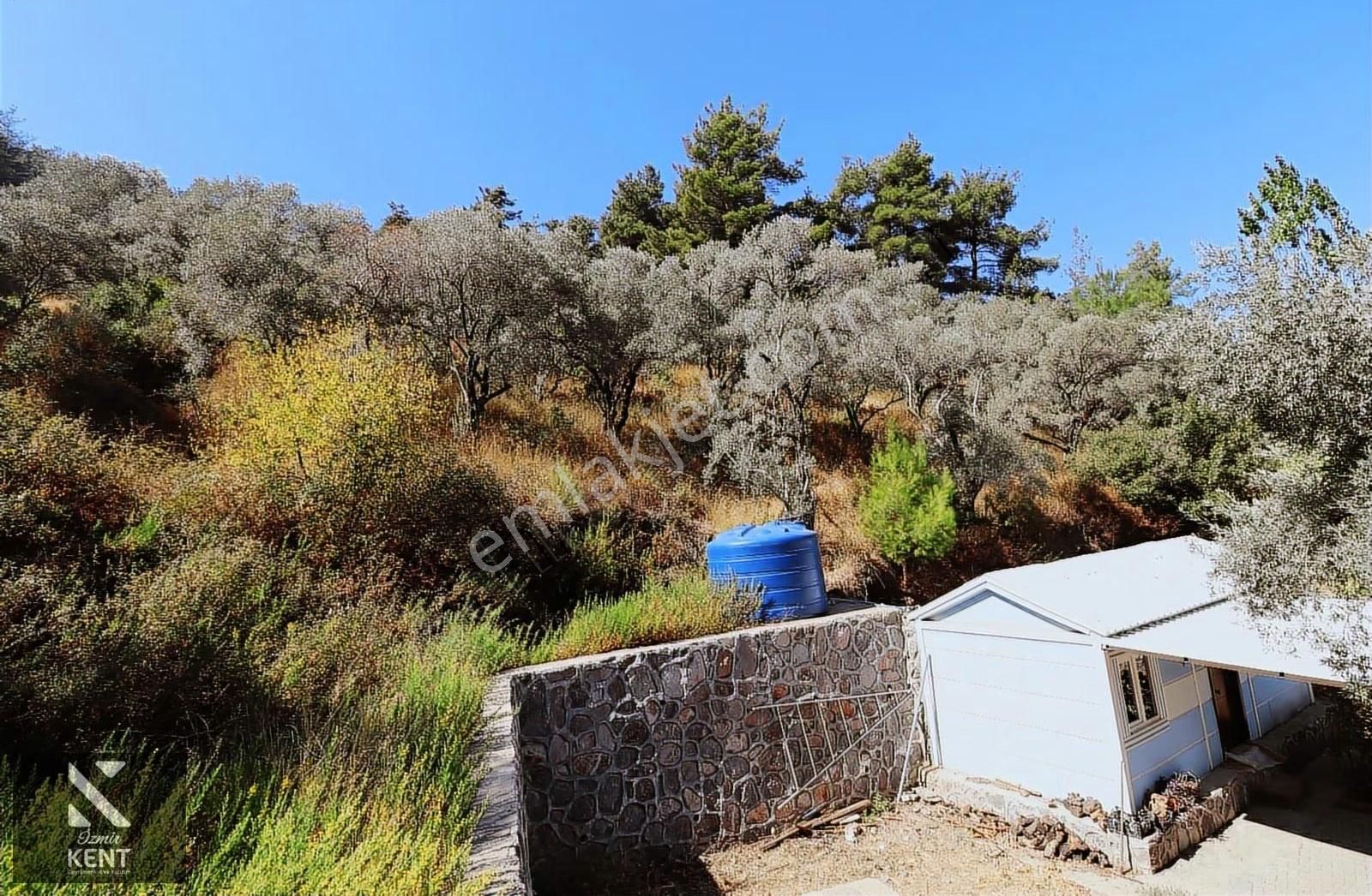 Kemalpaşa Aşağıkızılca Satılık 4536 M2 Bahçe - Görsel 24