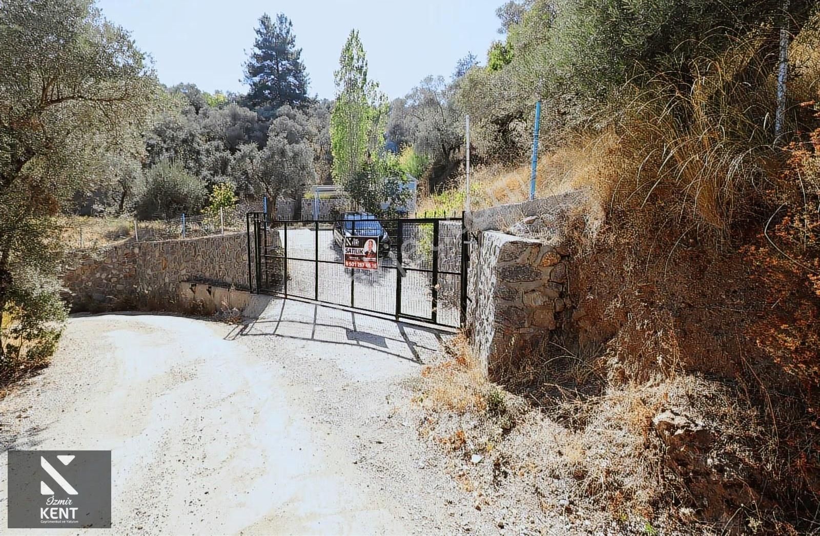 Kemalpaşa Aşağıkızılca Satılık 4536 M2 Bahçe - Görsel 12