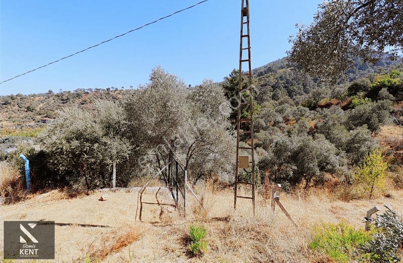 Kemalpaşa Aşağıkızılca Satılık 4536 M2 Bahçe - Görsel 26