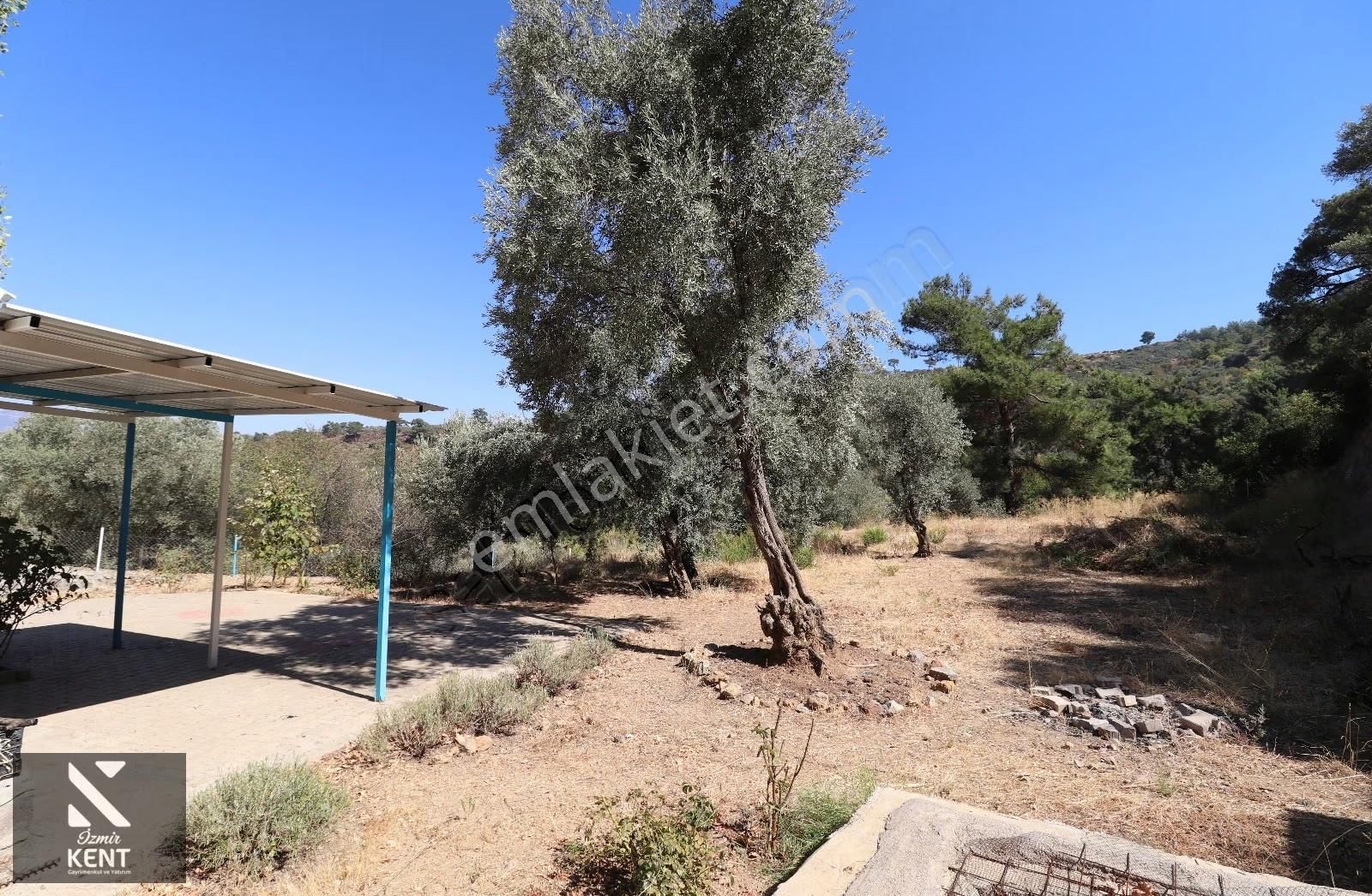 Kemalpaşa Aşağıkızılca Satılık 4536 M2 Bahçe - Görsel 22