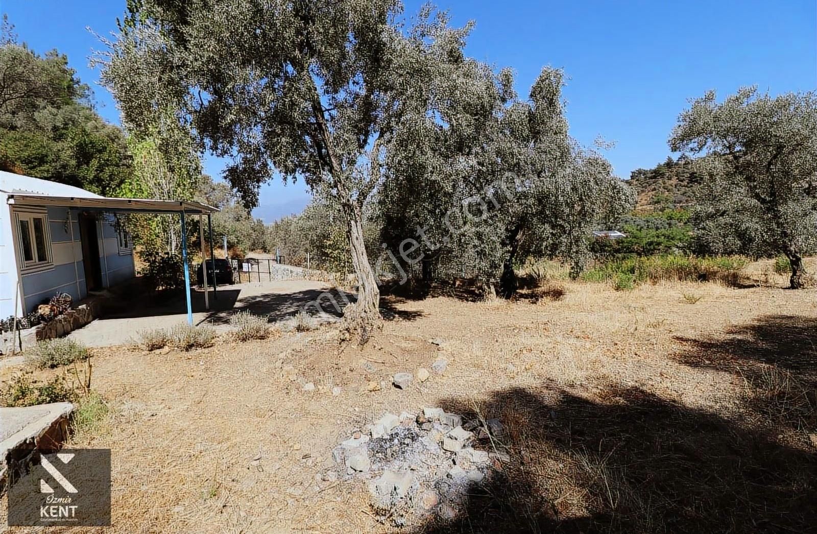Kemalpaşa Aşağıkızılca Satılık 4536 M2 Bahçe - Görsel 4