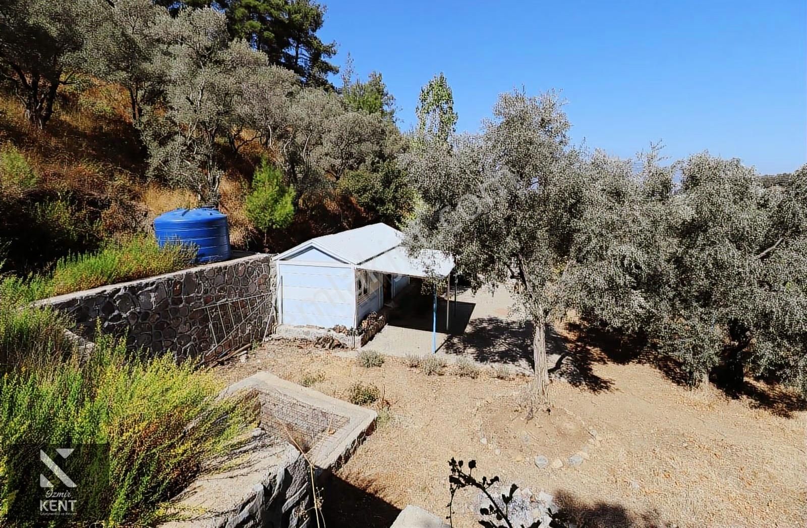 Kemalpaşa Aşağıkızılca Satılık 4536 M2 Bahçe - Görsel 11