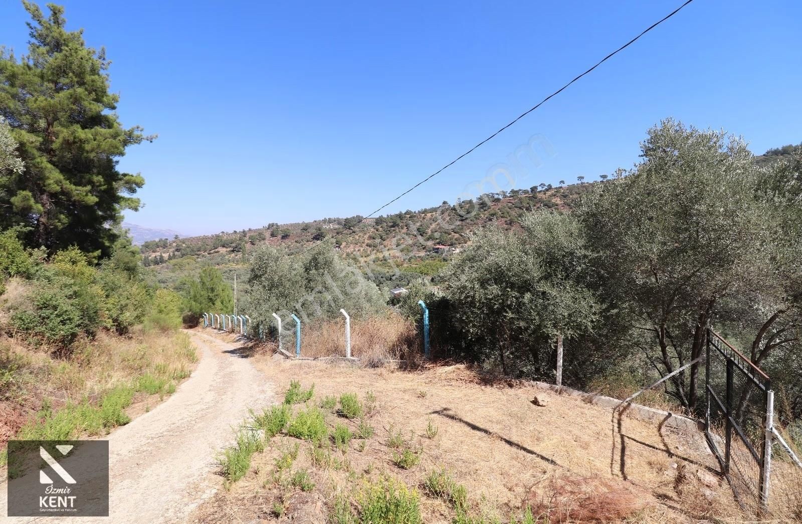 Kemalpaşa Aşağıkızılca Satılık 4536 M2 Bahçe - Görsel 16