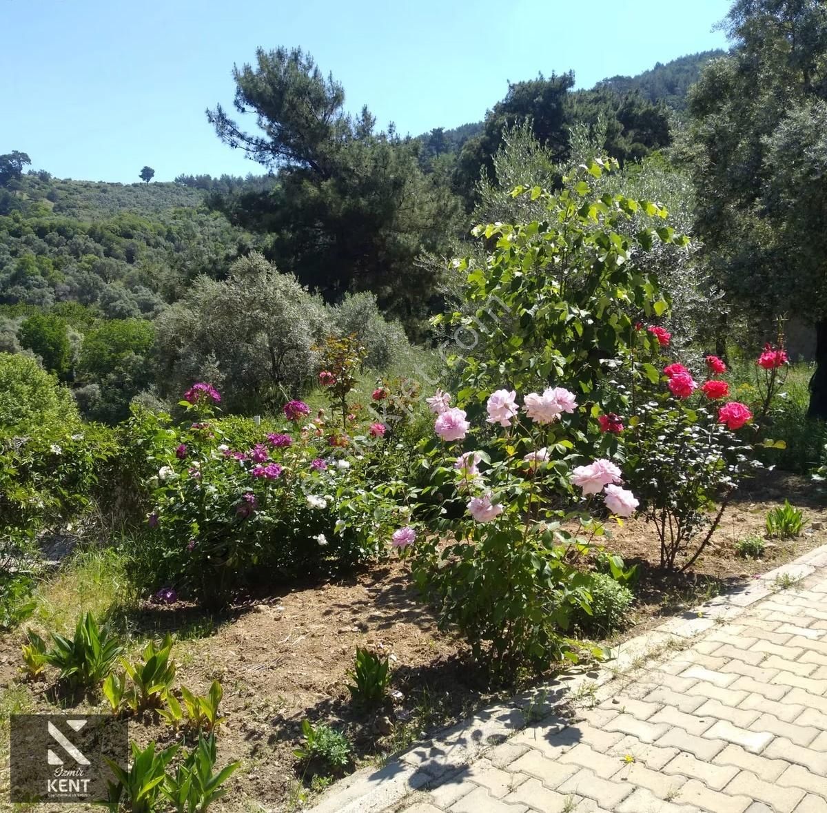 Kemalpaşa Aşağıkızılca Satılık 4536 M2 Bahçe - Görsel 18