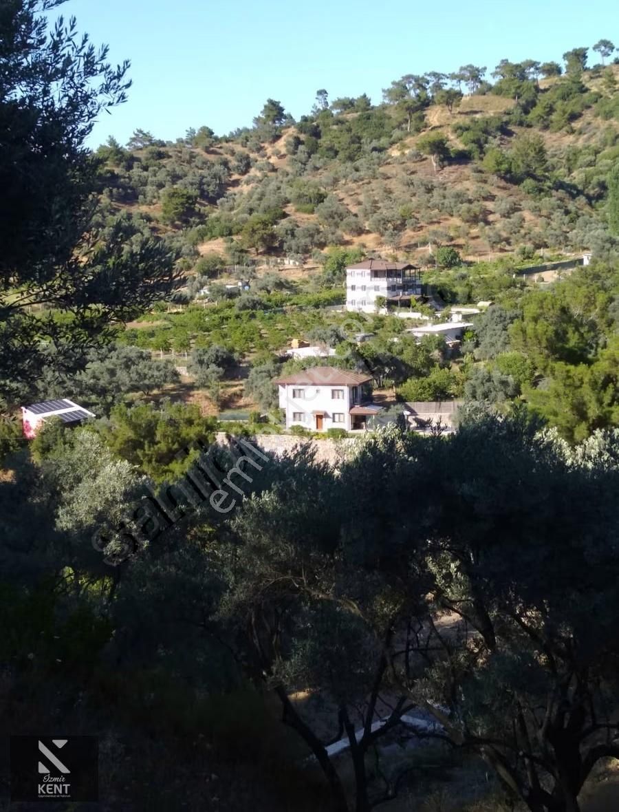 Kemalpaşa Aşağıkızılca Satılık 4536 M2 Bahçe - Görsel 3