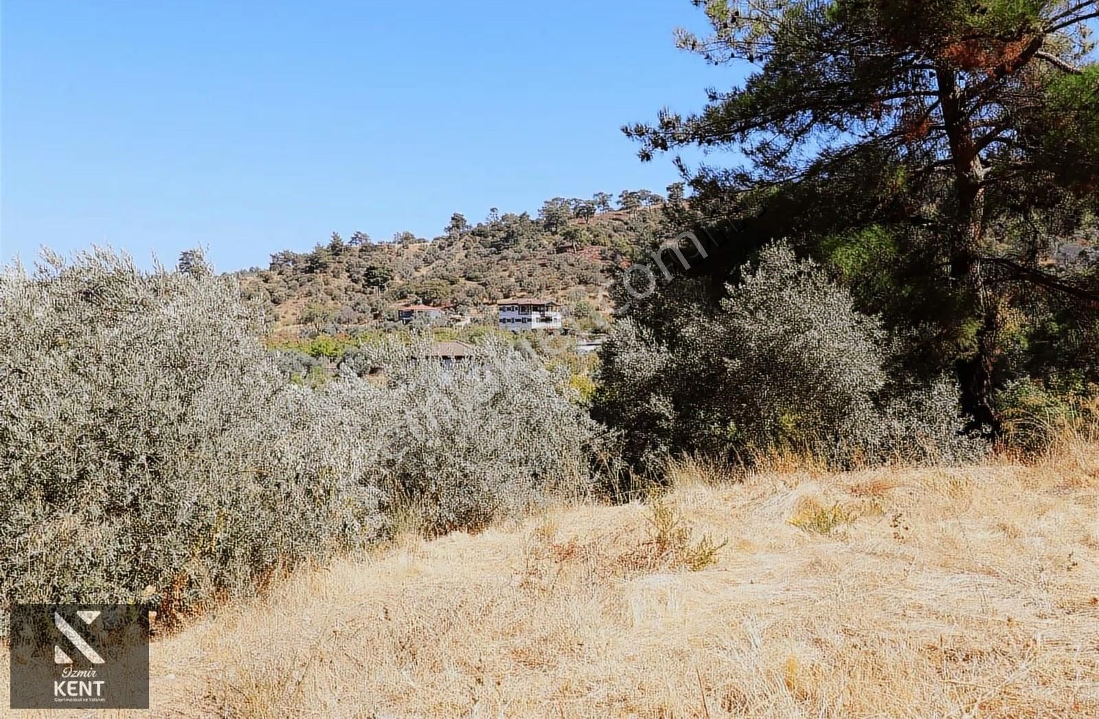 Kemalpaşa Aşağıkızılca Satılık 4536 M2 Bahçe - Görsel 30