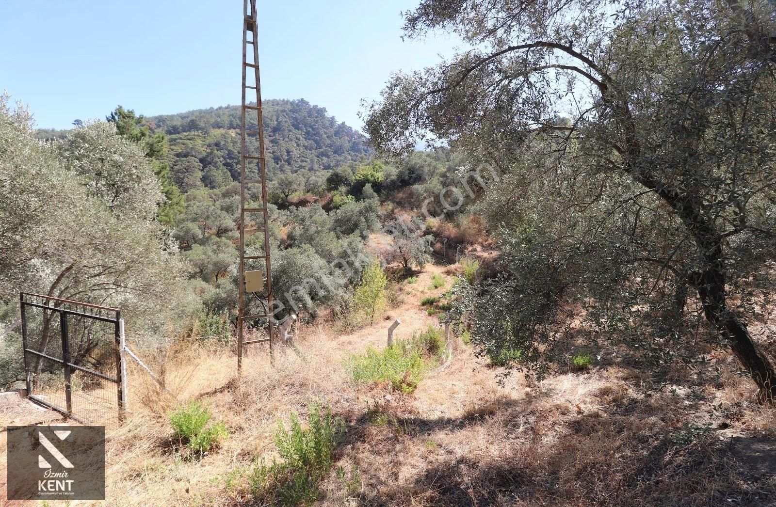 Kemalpaşa Aşağıkızılca Satılık 4536 M2 Bahçe - Görsel 17