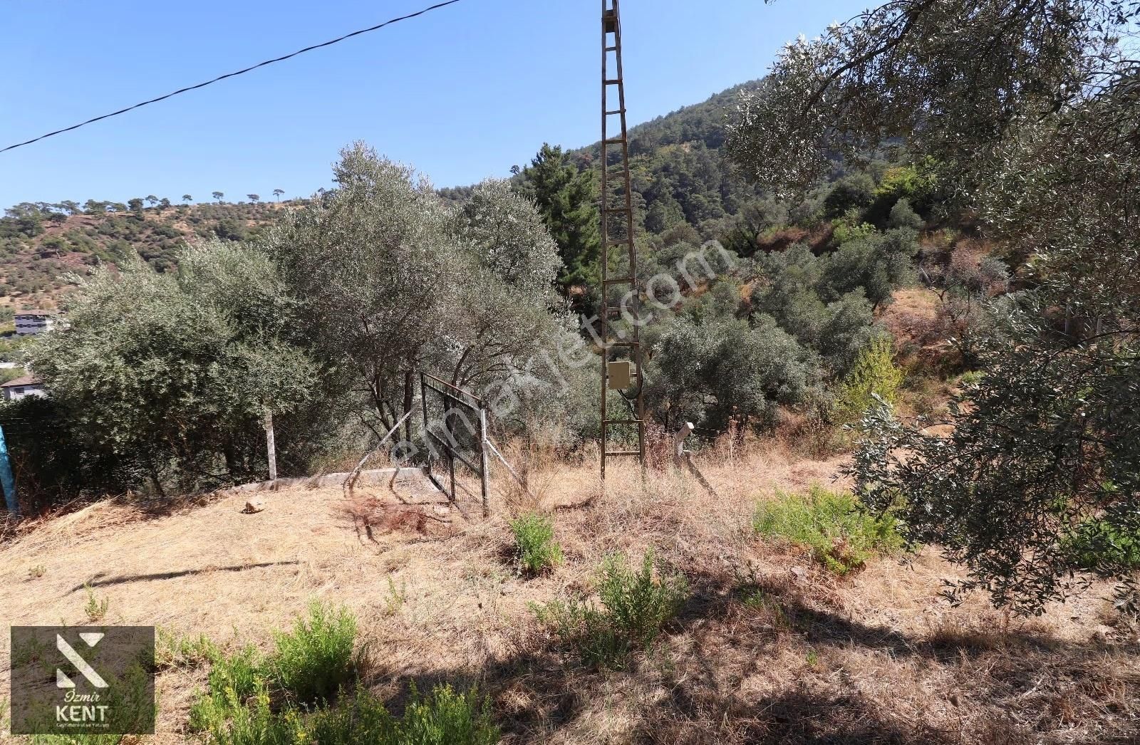 Kemalpaşa Aşağıkızılca Satılık 4536 M2 Bahçe - Görsel 25