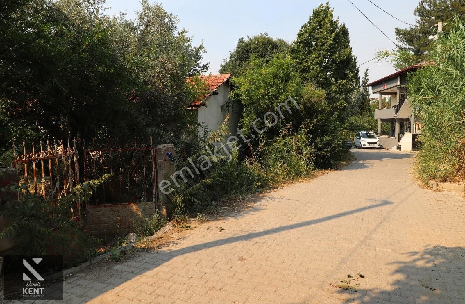 Kemalpaşa Aşağı Kızılca 781 M2 Bahçe İçinde 2 Katlı Ev Ve Dam - Görsel 5