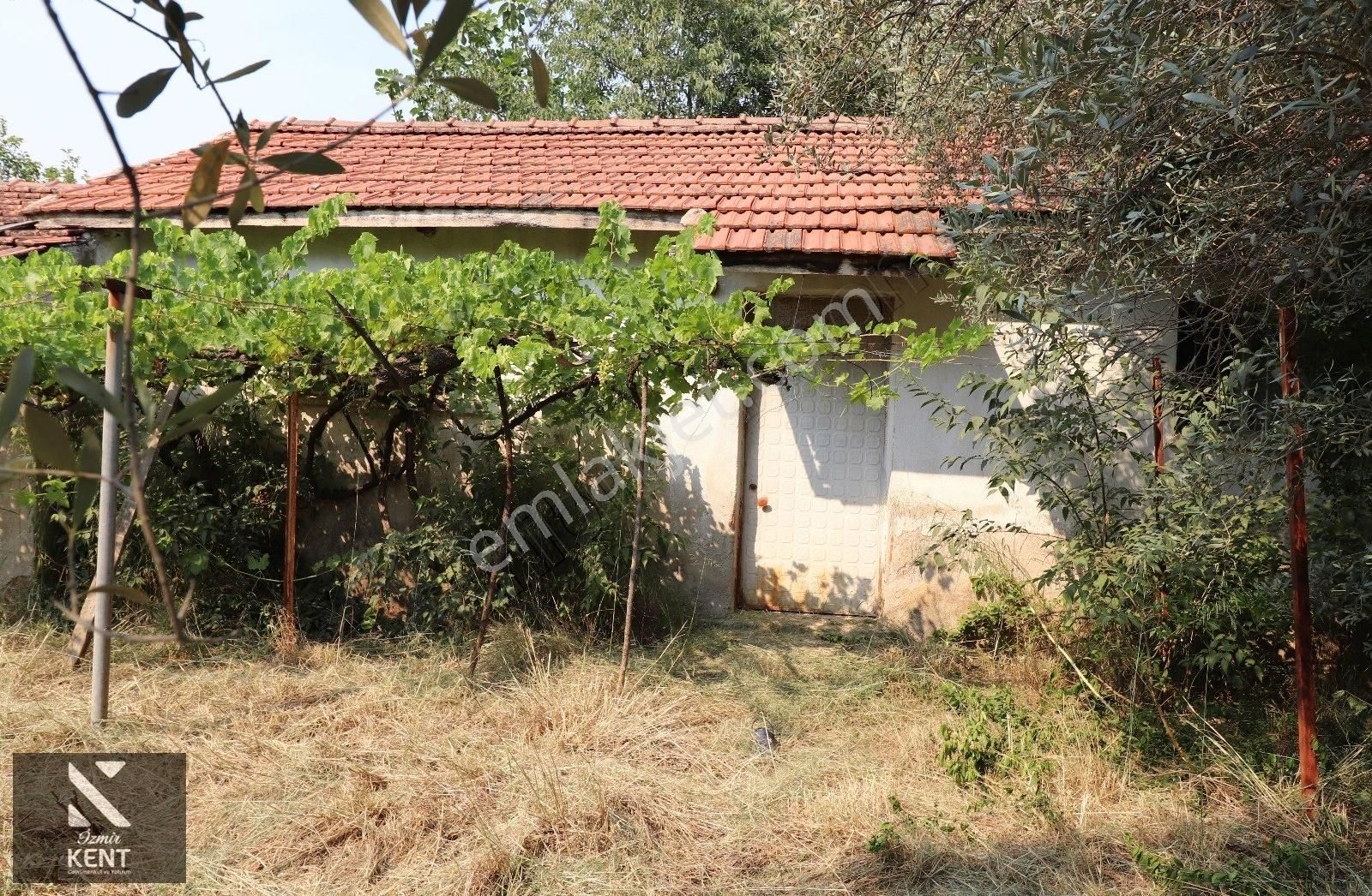 Kemalpaşa Aşağı Kızılca 781 M2 Bahçe İçinde 2 Katlı Ev Ve Dam - Görsel 18