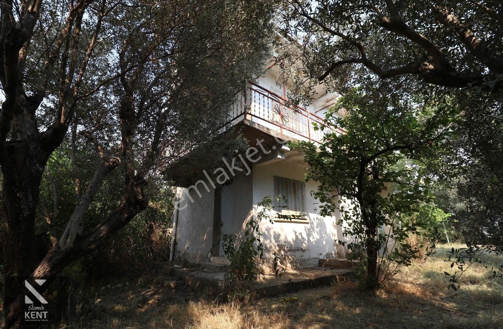 Kemalpaşa Aşağı Kızılca 781 M2 Bahçe İçinde 2 Katlı Ev Ve Dam - Görsel 8