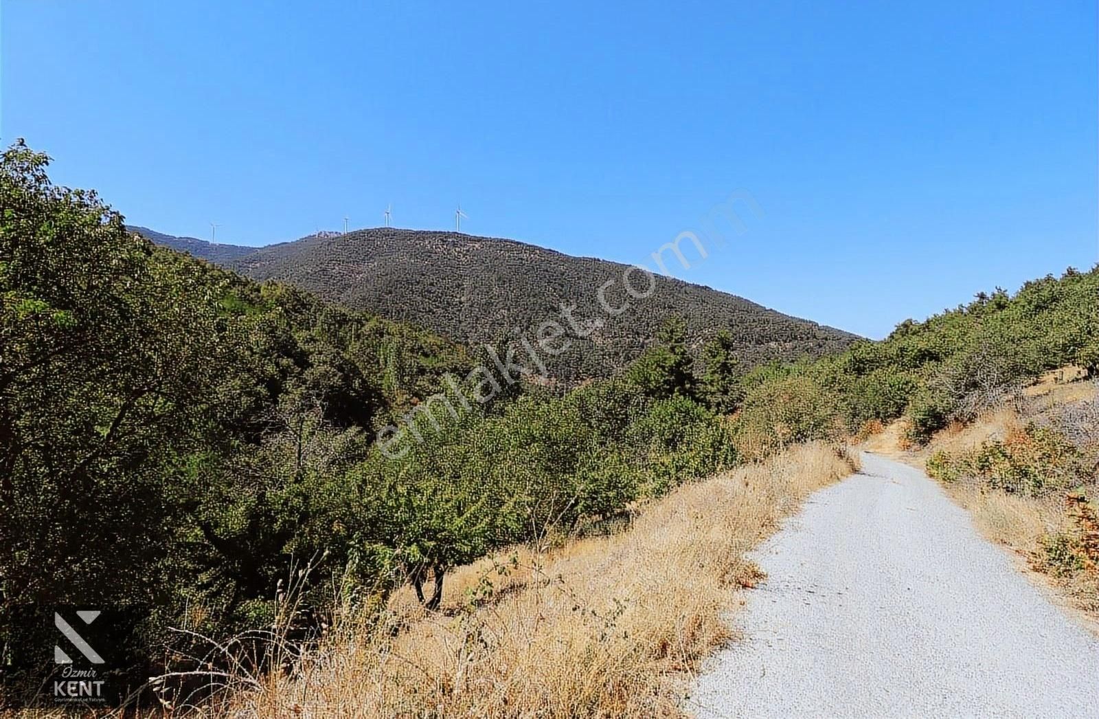 Kemalpaşa Bayramlı Da Satılık 3509 M2 Bahçe - Görsel 7