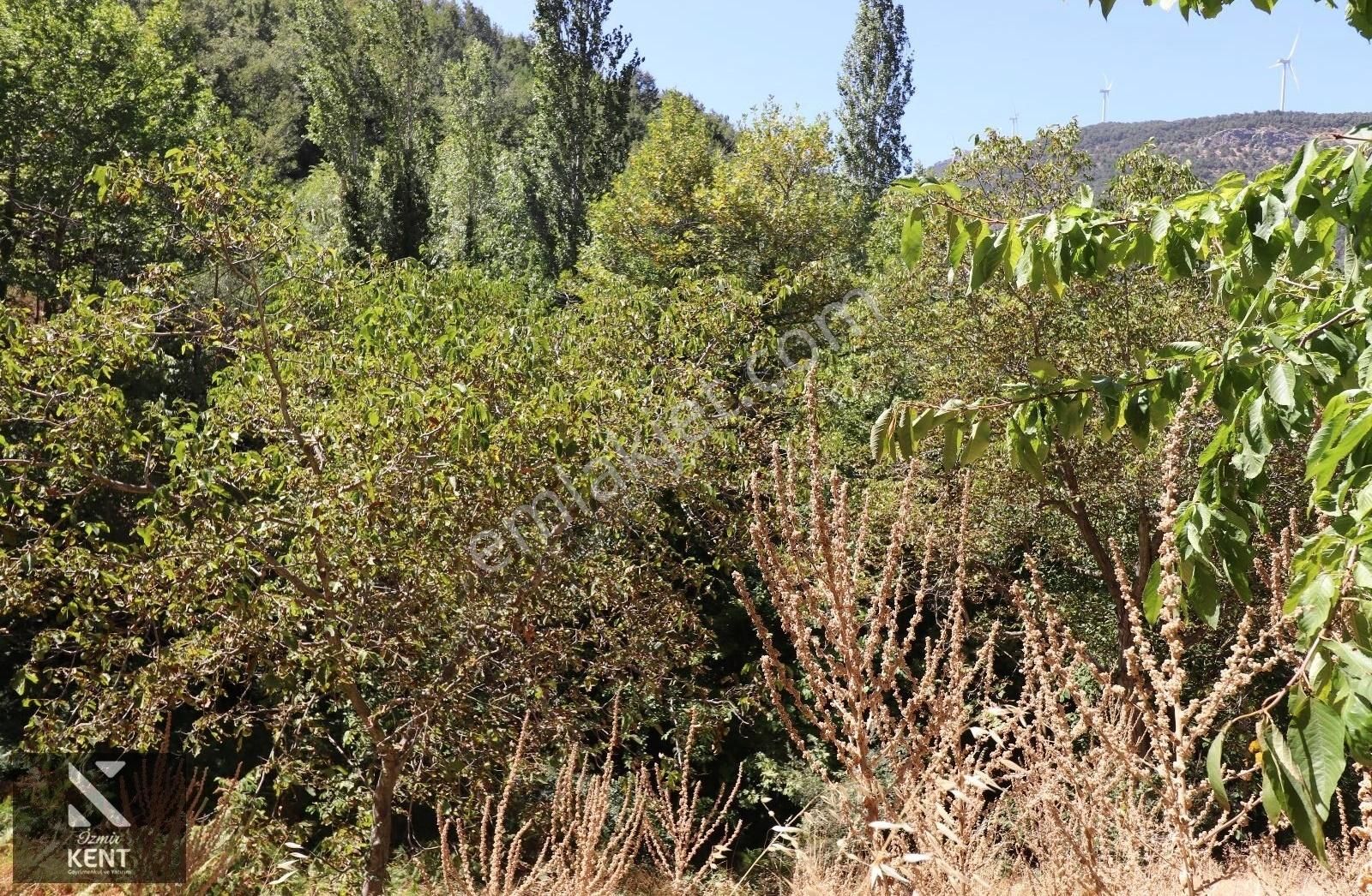 Kemalpaşa Bayramlı Da Satılık 3509 M2 Bahçe - Görsel 15