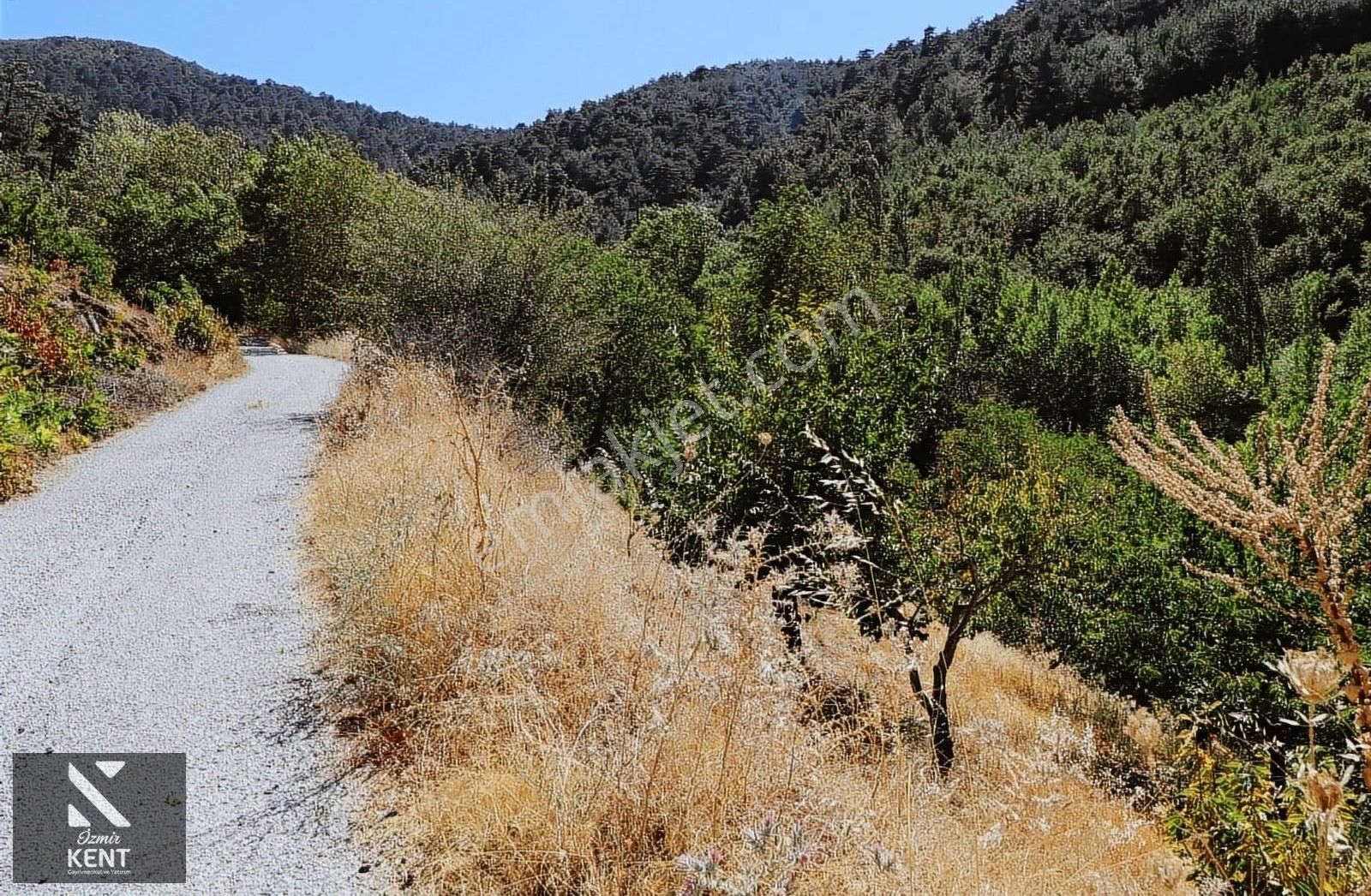 Kemalpaşa Bayramlı Da Satılık 3509 M2 Bahçe - Görsel 10