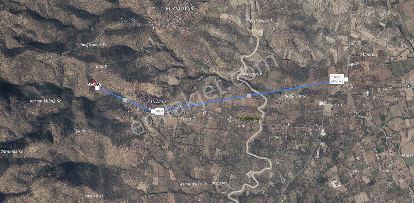 Bozdoğan Pınarlı Köyyakını Zeytinlik 4771 M2 - Görsel 16