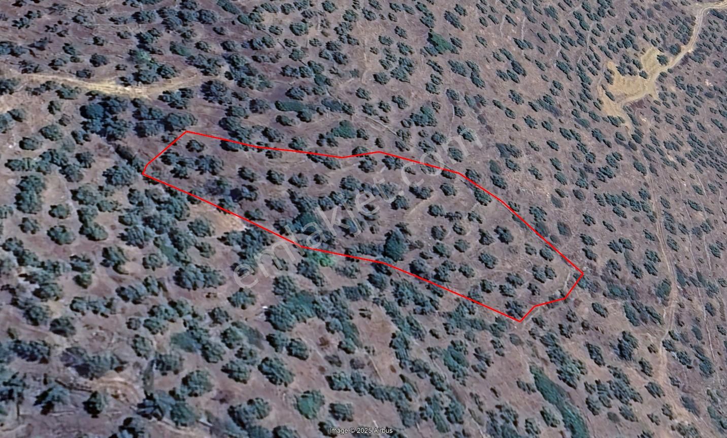 Bozdoğan Pınarlı Köyyakını Zeytinlik 4771 M2 - Görsel 11