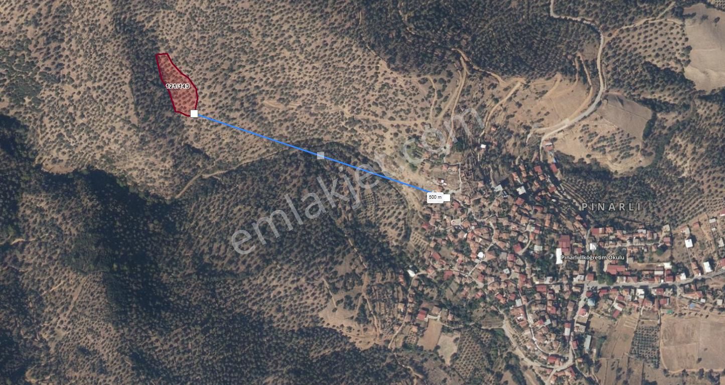 Bozdoğan Pınarlı Köyyakını Zeytinlik 4771 M2 - Görsel 15
