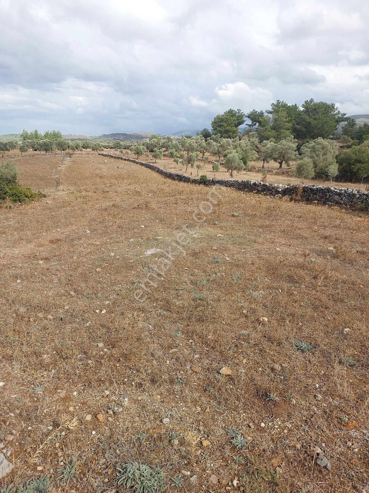 Bodrum Yeniköy Karaova