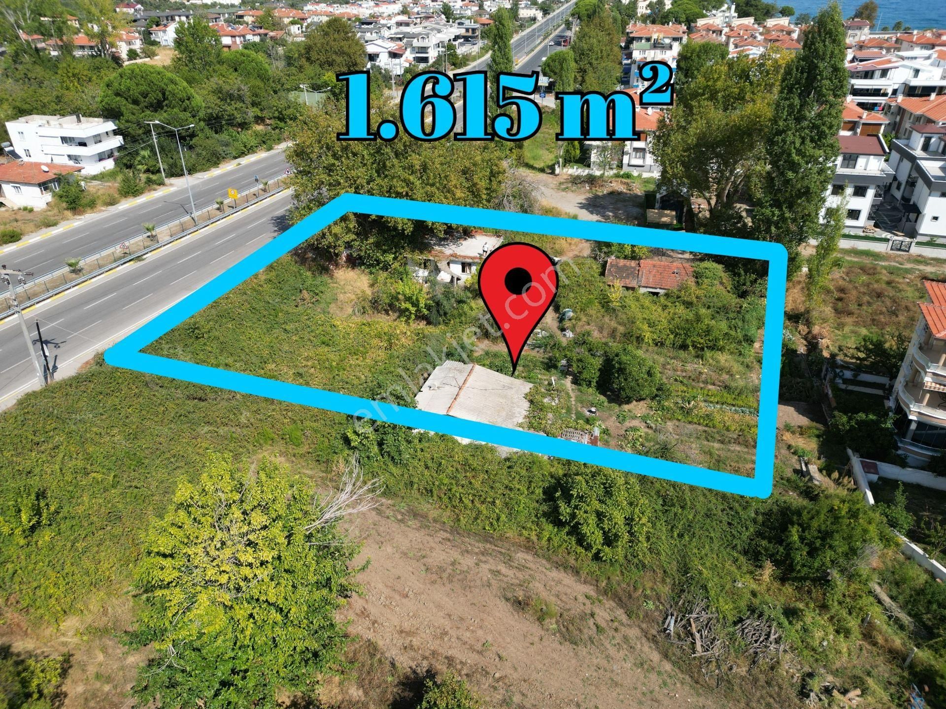 Altınoluk İlkbahar'dan Turizm İmarına Sınır Denize 250mt 1615m2 Zeytinlik - Görsel 6