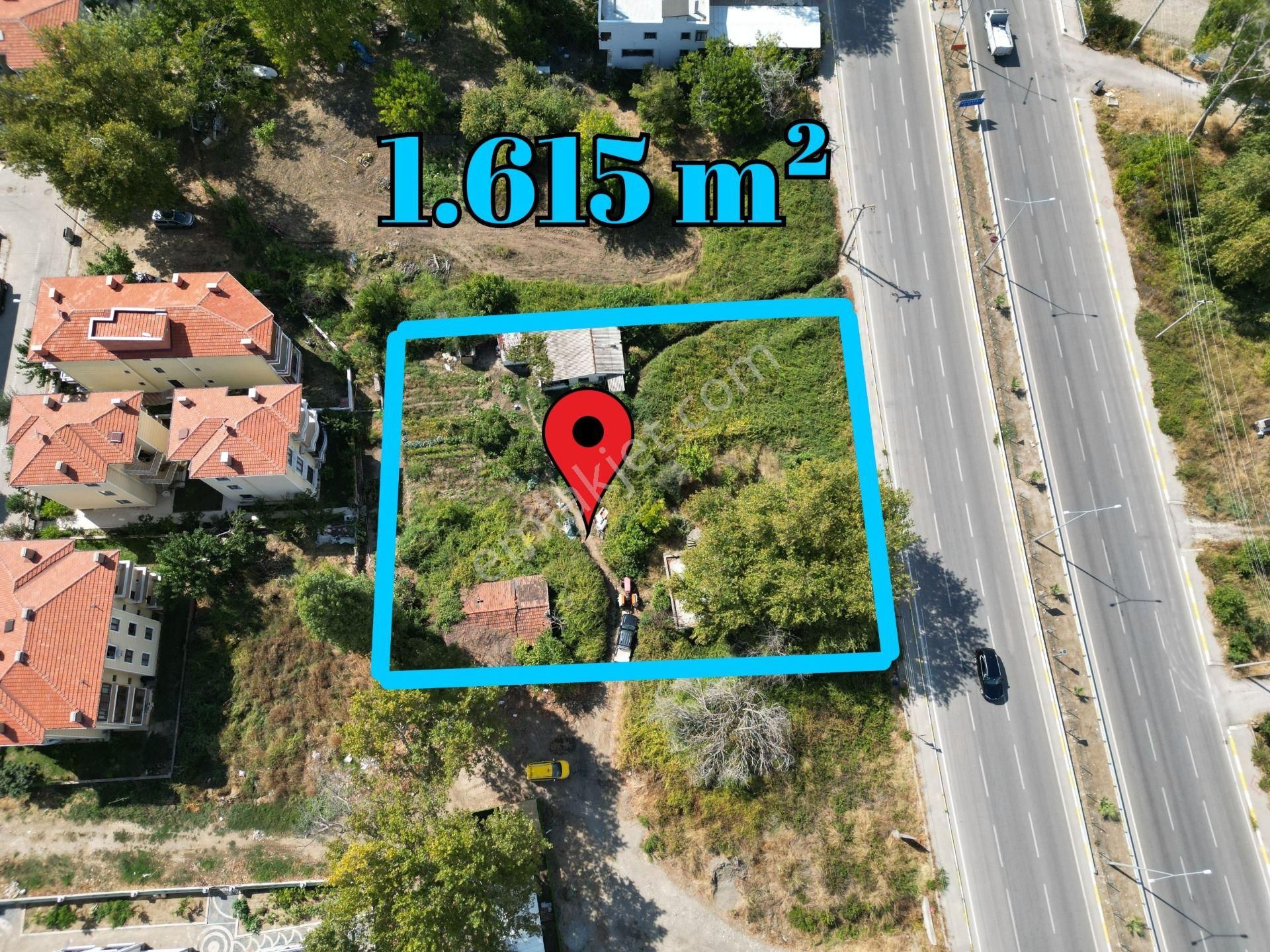 Altınoluk İlkbahar'dan Turizm İmarına Sınır Denize 250mt 1615m2 Zeytinlik - Görsel 4