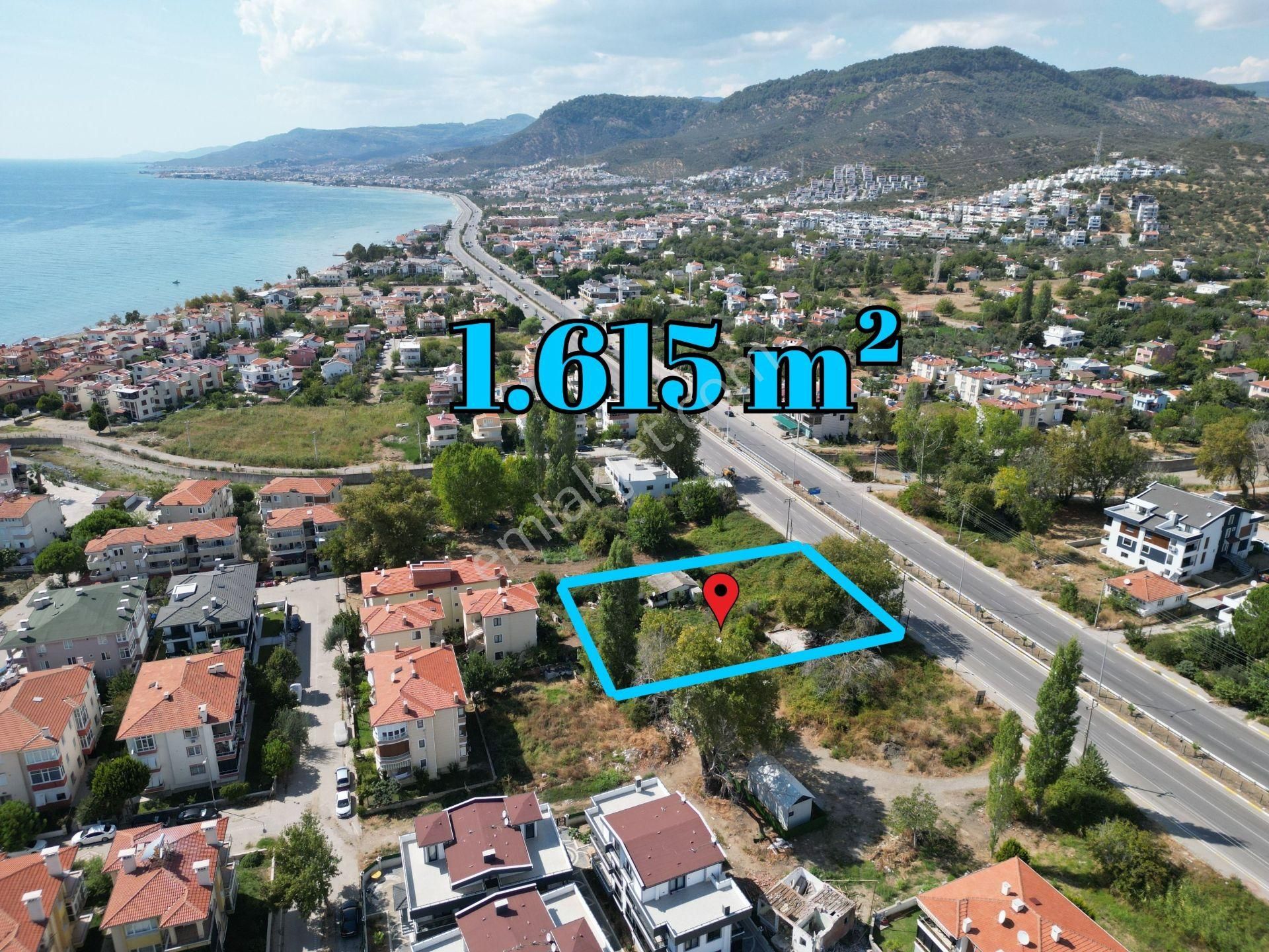 Altınoluk İlkbahar'dan Turizm İmarına Sınır Denize 250mt 1615m2 Zeytinlik - Görsel 5