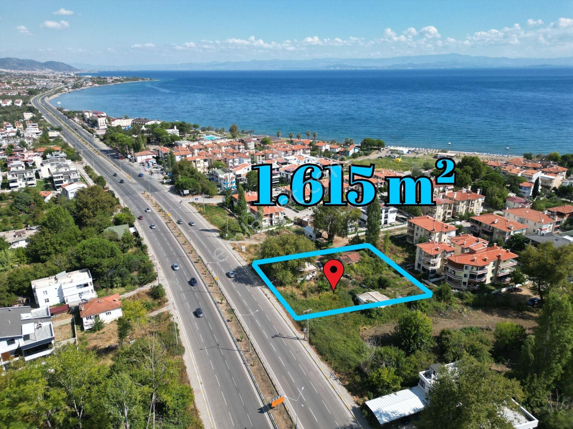 Altınoluk İlkbahar'dan Turizm İmarına Sınır Denize 250mt 1615m2 Zeytinlik - Görsel 2