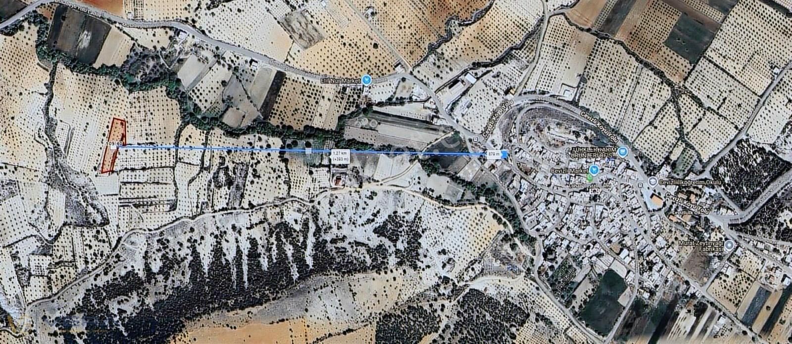 Cevizli Köyünde 3300m2 Yatırımlık, Tarıma Uygun Satılık Arazi - Görsel 2
