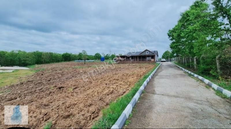 Kırklareli Merkez Beypınar Satılık Çiftlik Evi - Görsel 2