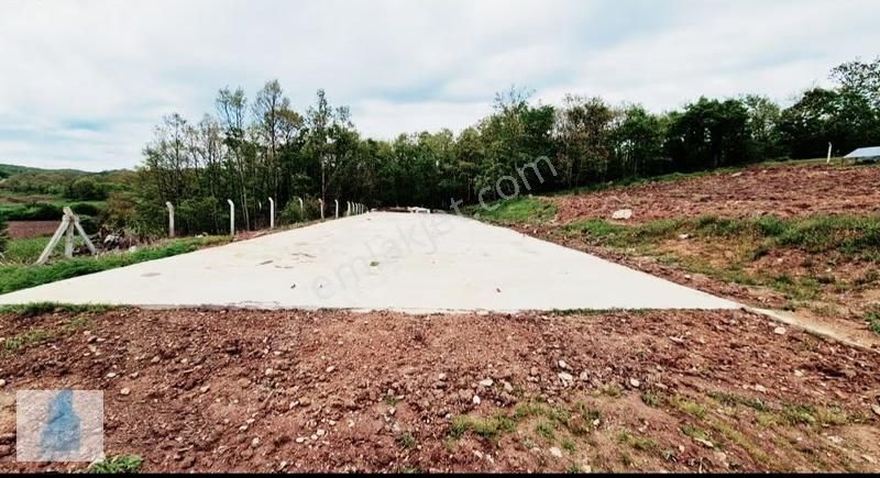 Kırklareli Merkez Beypınar Satılık Çiftlik Evi - Görsel 10