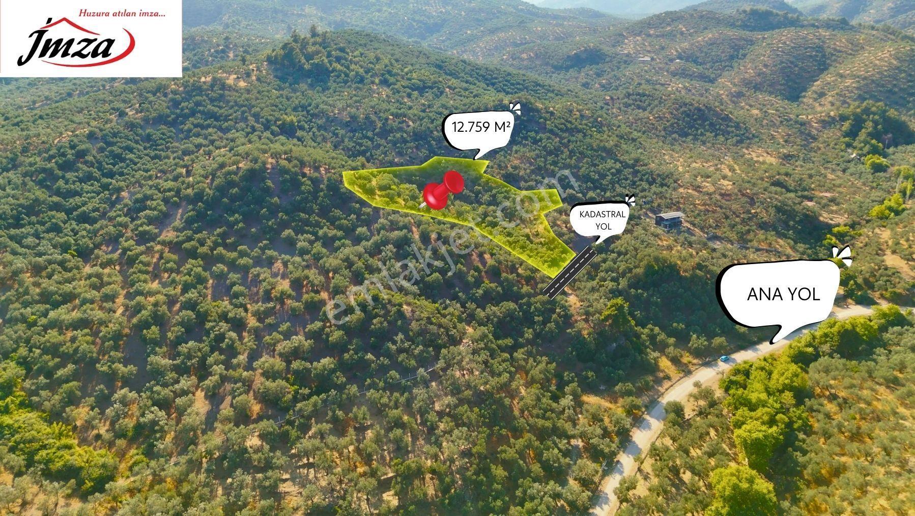 Çanakkale Ayvacık Adatepe Satılık 12.759 M² Zeytinlik - Görsel 2