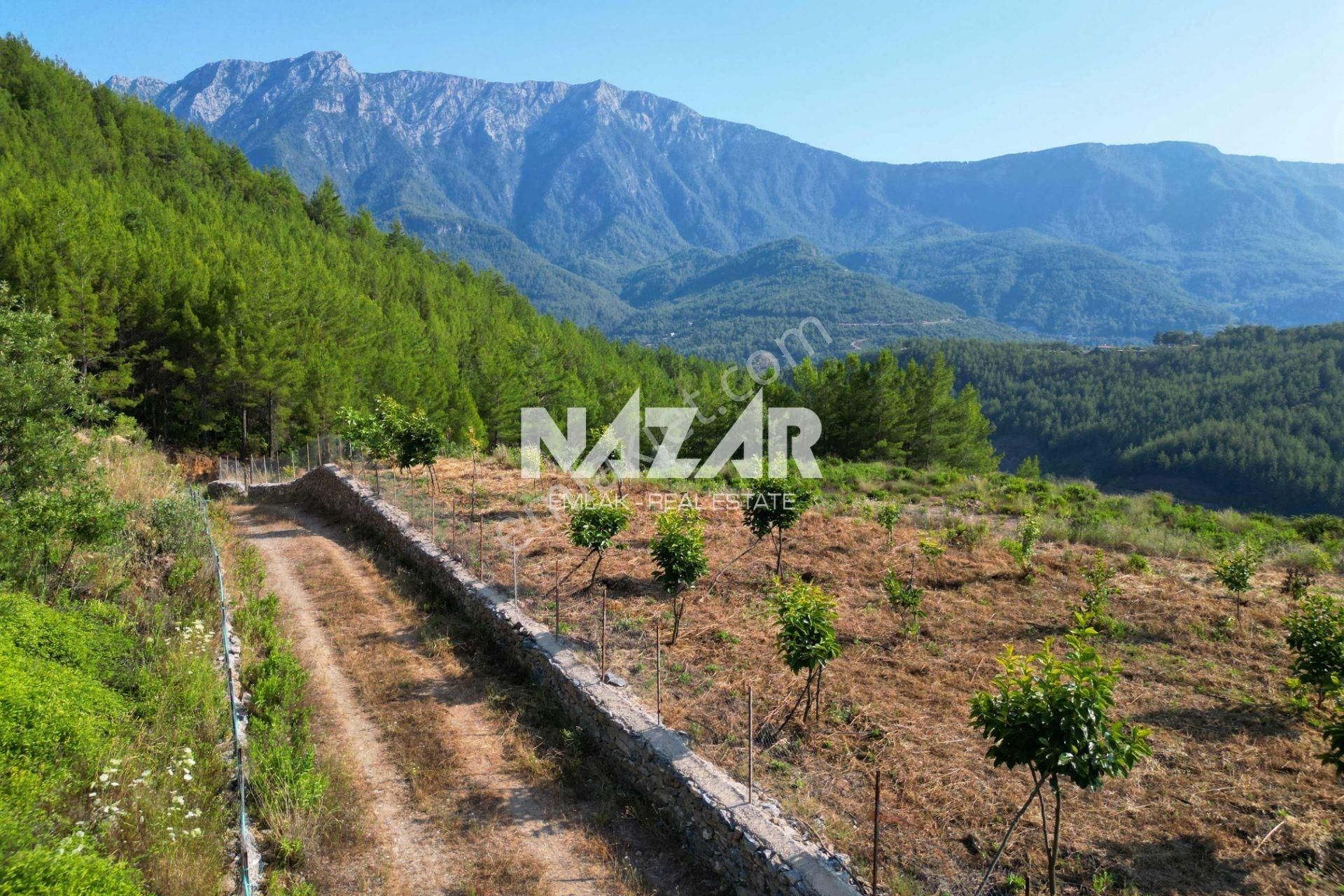 Alanya Üzümlü'de 6.033 M² Satılık Tarla Ve Kargir Ev - Görsel 16