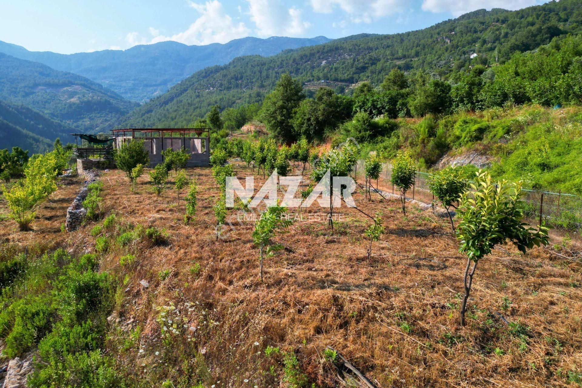 Alanya Üzümlü'de 6.033 M² Satılık Tarla Ve Kargir Ev - Görsel 9