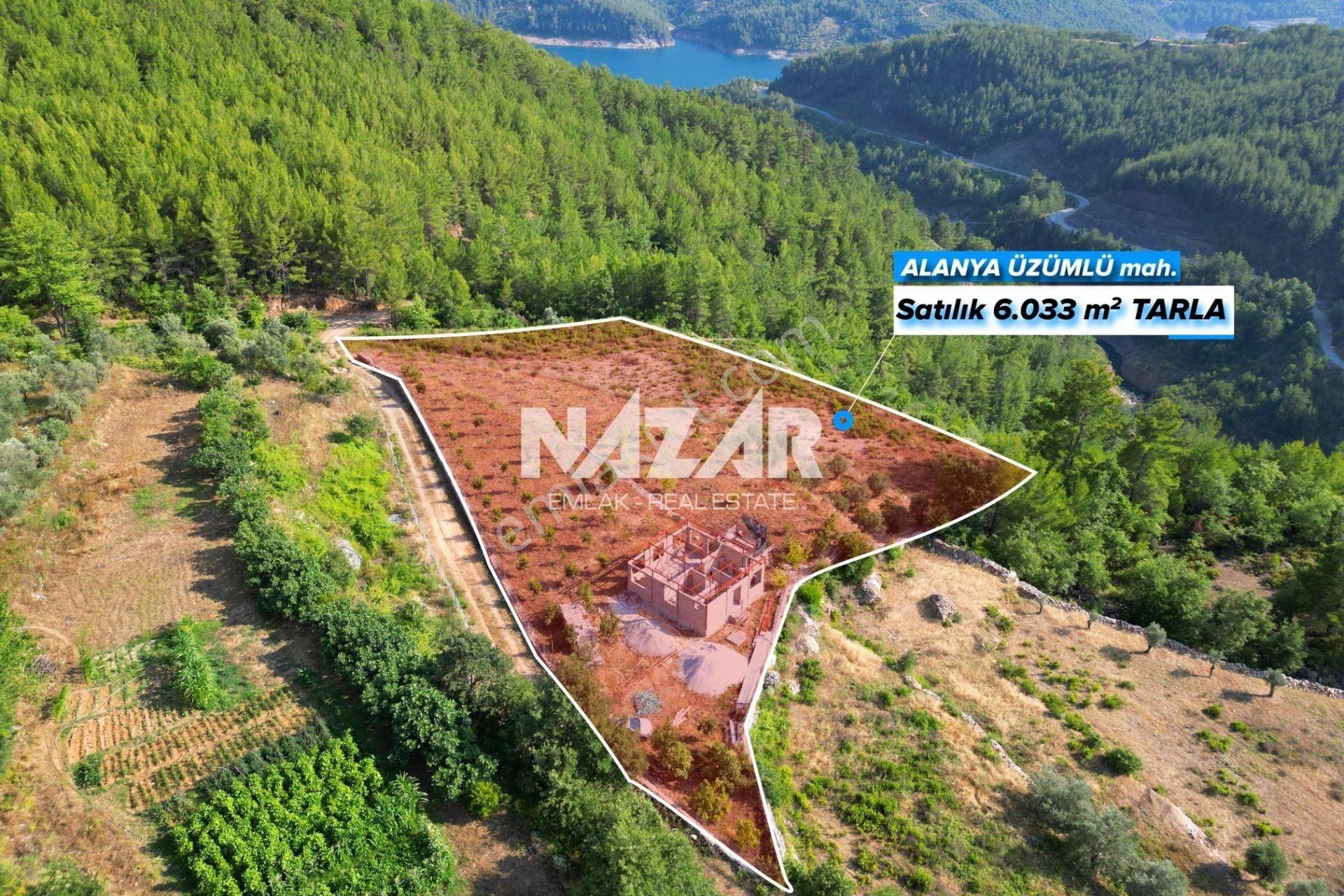 Alanya Üzümlü'de 6.033 M² Satılık Tarla Ve Kargir Ev - Görsel 2