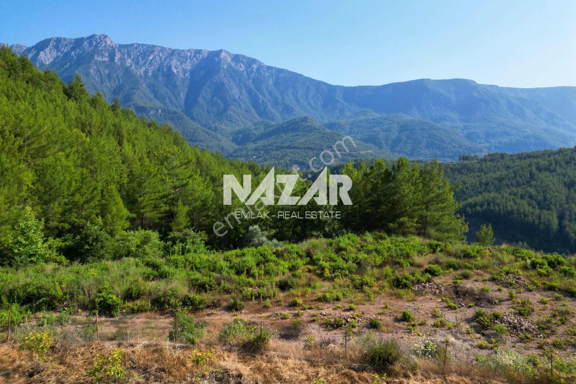 Alanya Üzümlü'de 6.033 M² Satılık Tarla Ve Kargir Ev - Görsel 5
