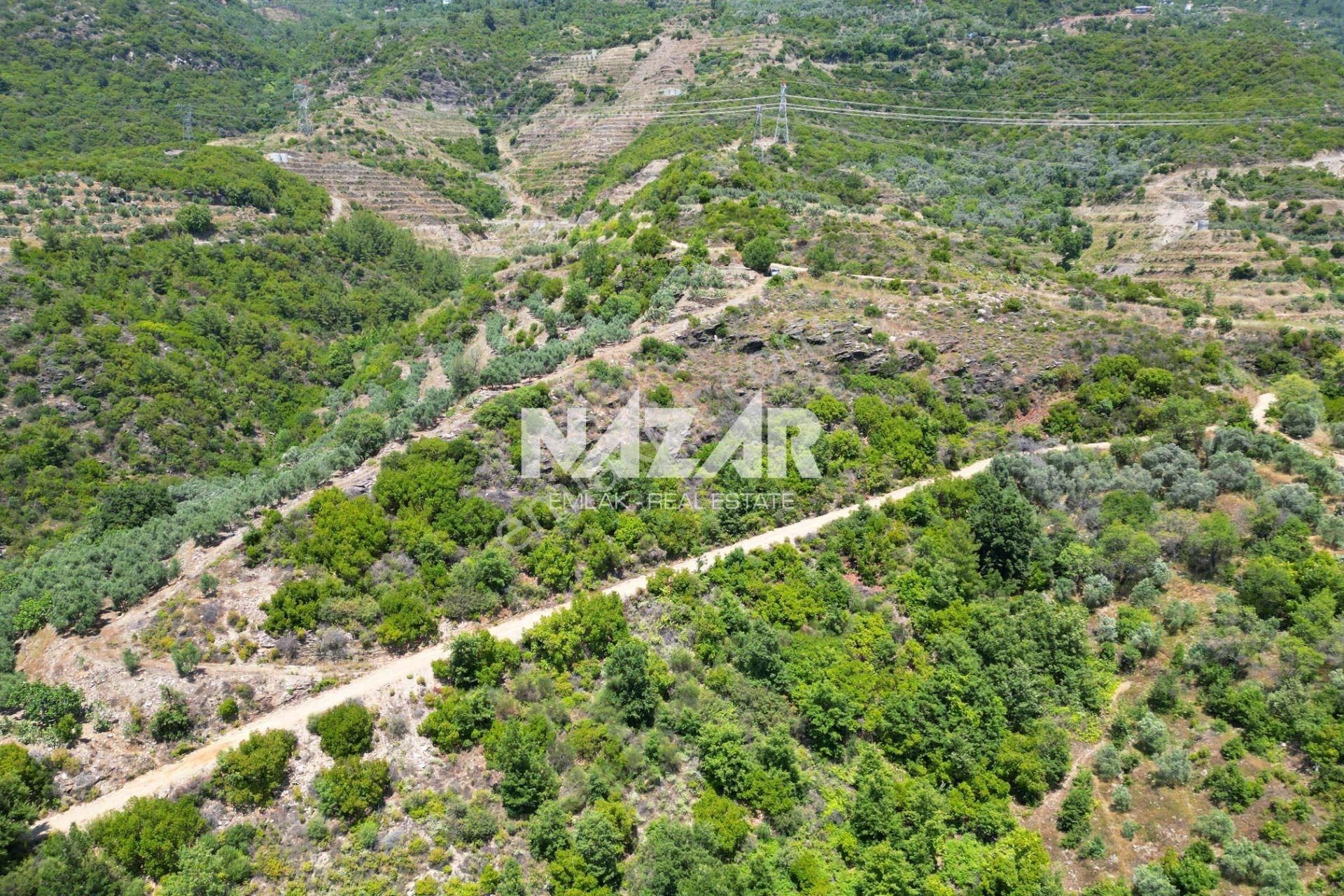 Alanya Mahmutseydi'de Satılık 2.737 M² Tarla - Görsel 5