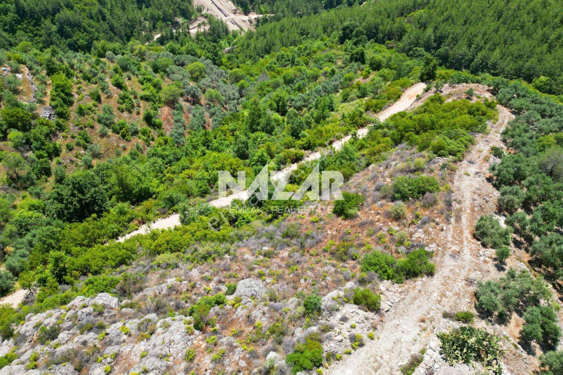 Alanya Mahmutseydi'de Satılık 2.737 M² Tarla - Görsel 13