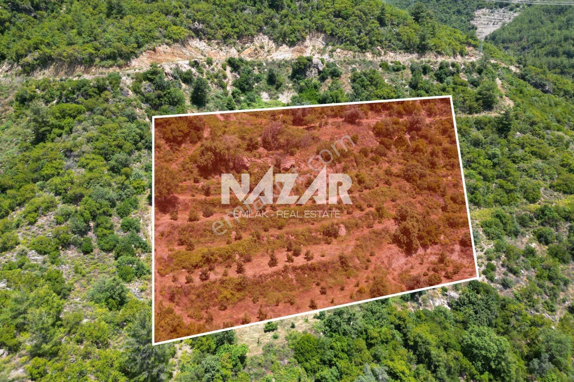 Alanya Mahmutseydi'de Satılık 7.941 M² Tarla - Görsel 3