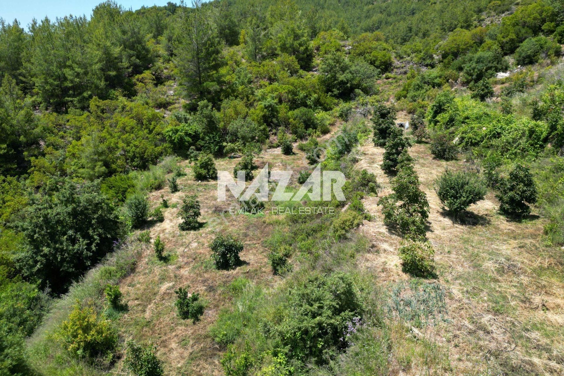 Alanya Mahmutseydi'de Satılık 7.941 M² Tarla - Görsel 6