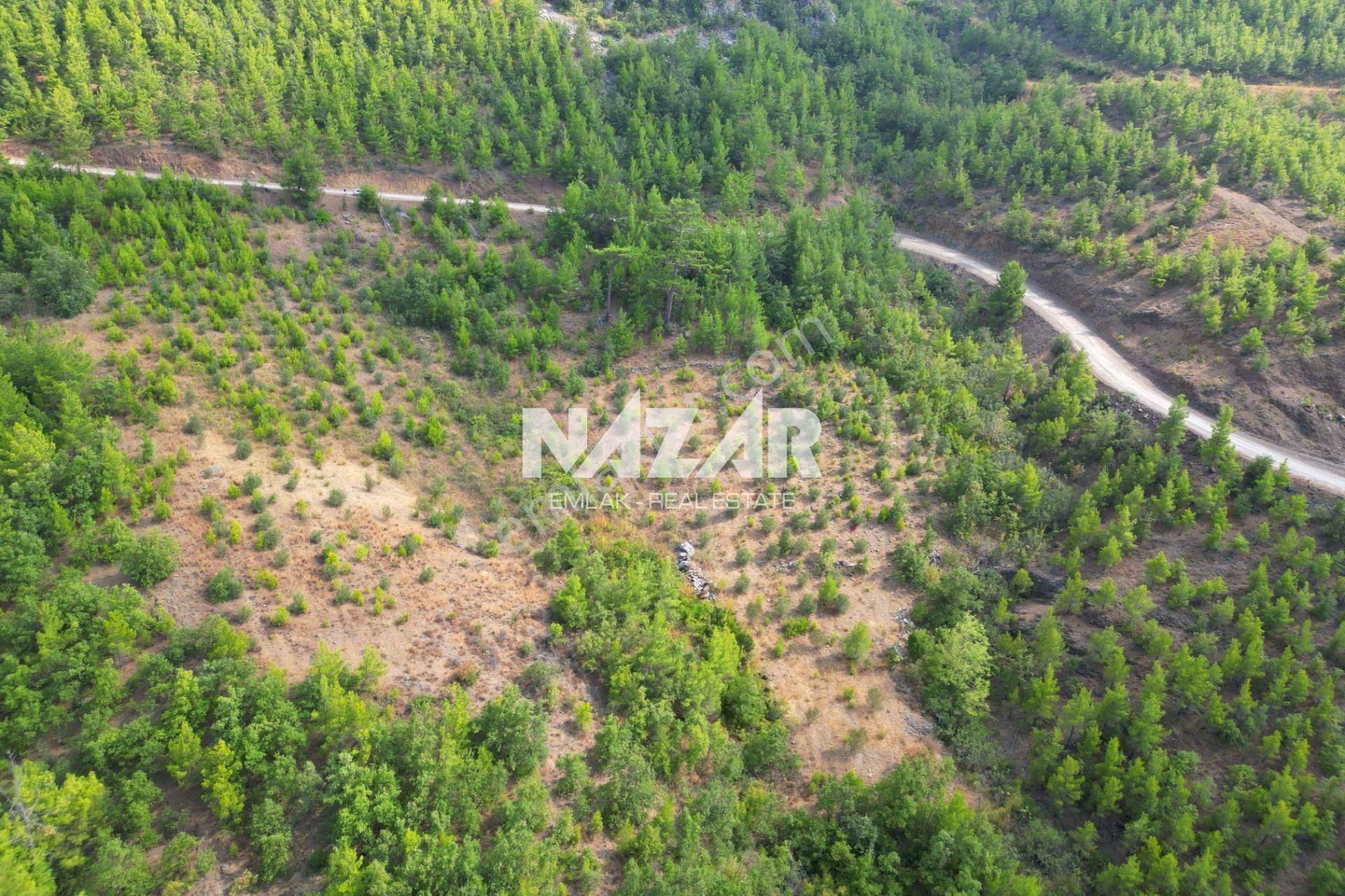 Alanya Beldibi'nde 4.978 M² Satılık Tarla - Görsel 5