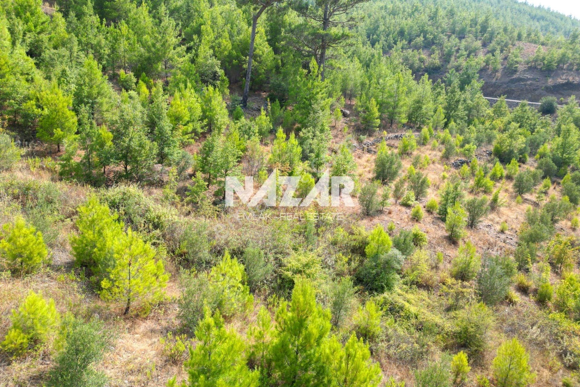 Alanya Beldibi'nde 4.978 M² Satılık Tarla - Görsel 14